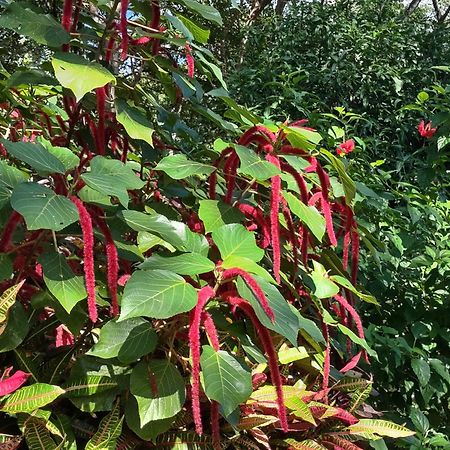 Finca Mystica Mérida 外观 照片