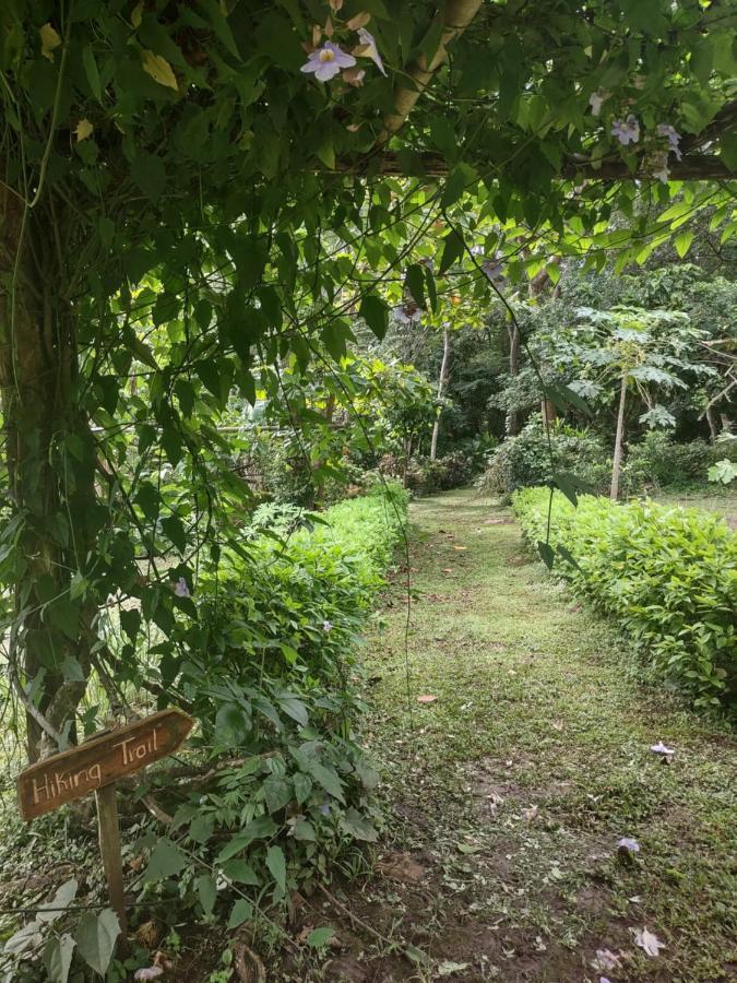 Finca Mystica Mérida 外观 照片