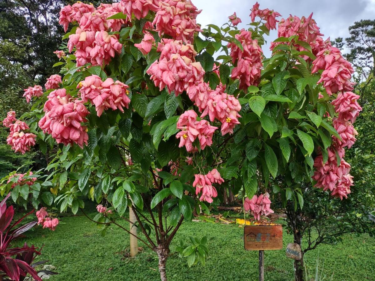 Finca Mystica Mérida 外观 照片