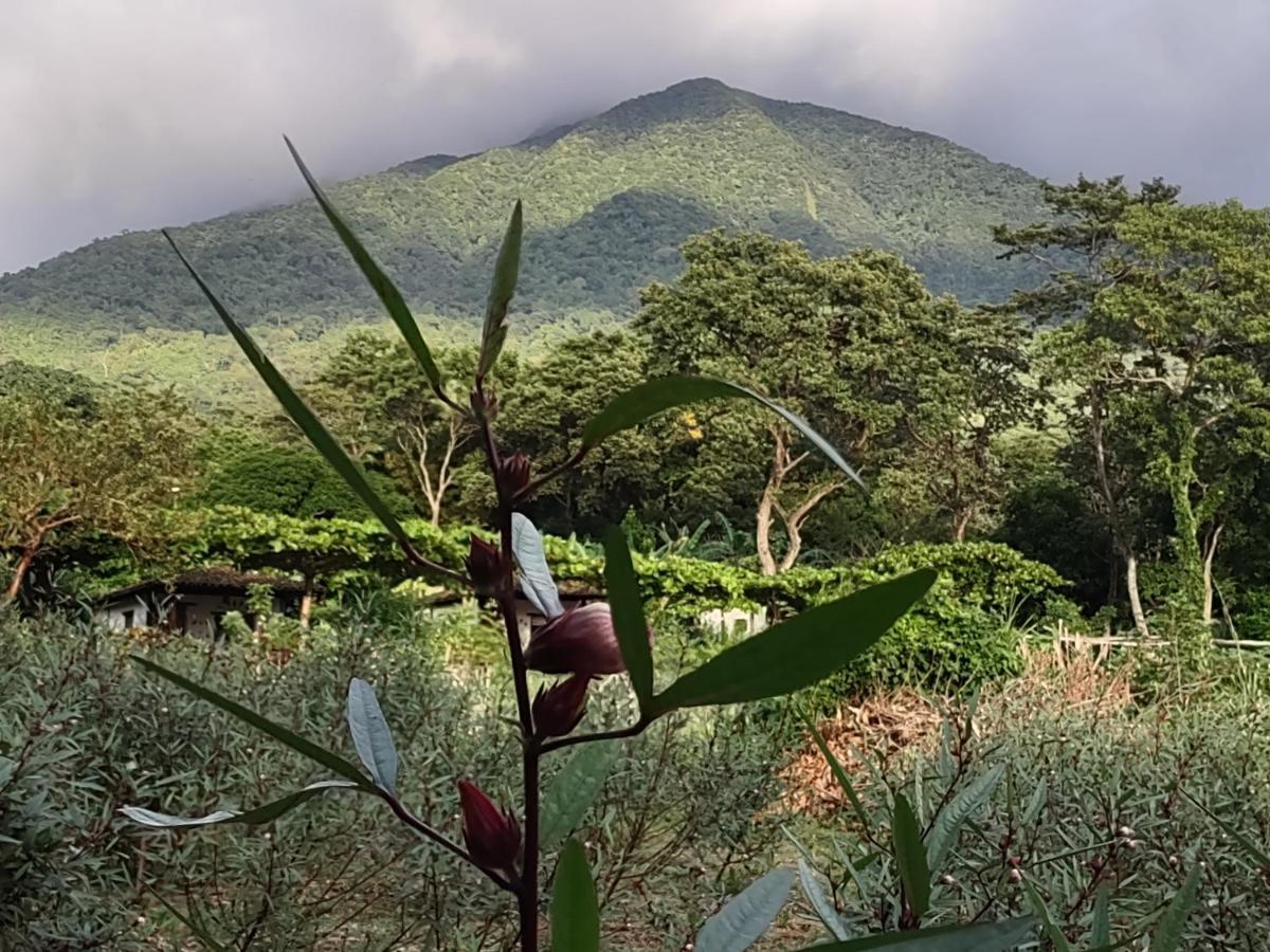 Finca Mystica Mérida 外观 照片