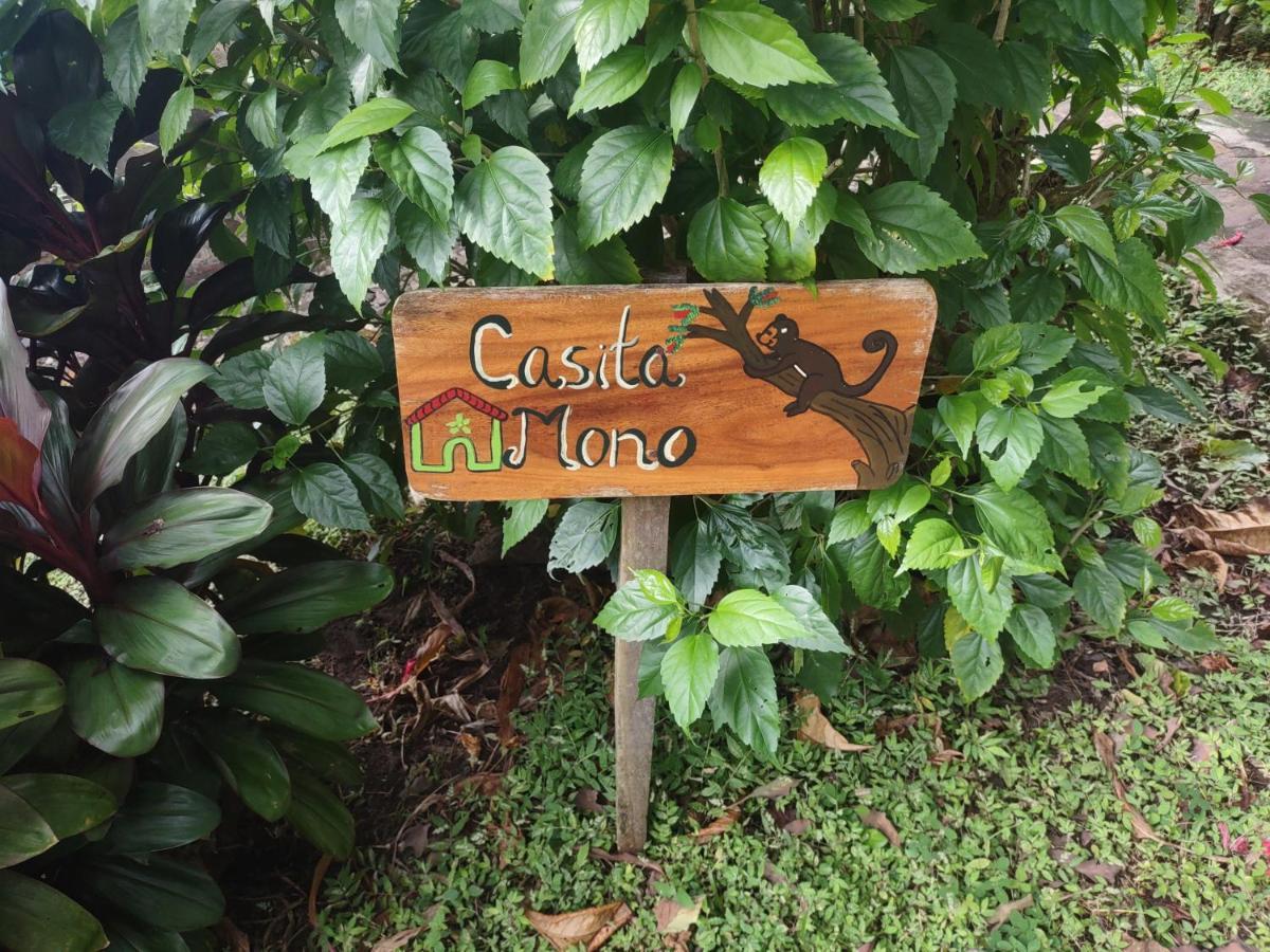 Finca Mystica Mérida 外观 照片