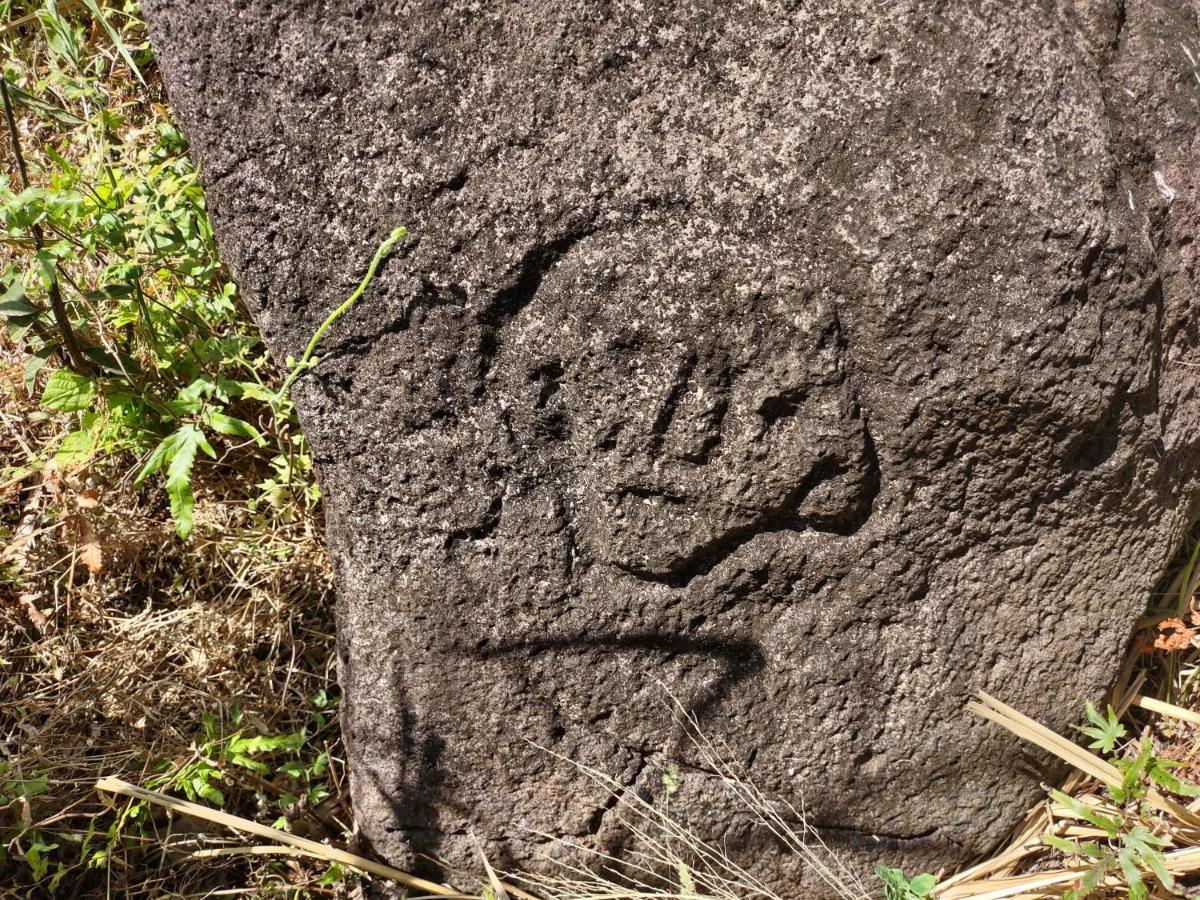 Finca Mystica Mérida 外观 照片