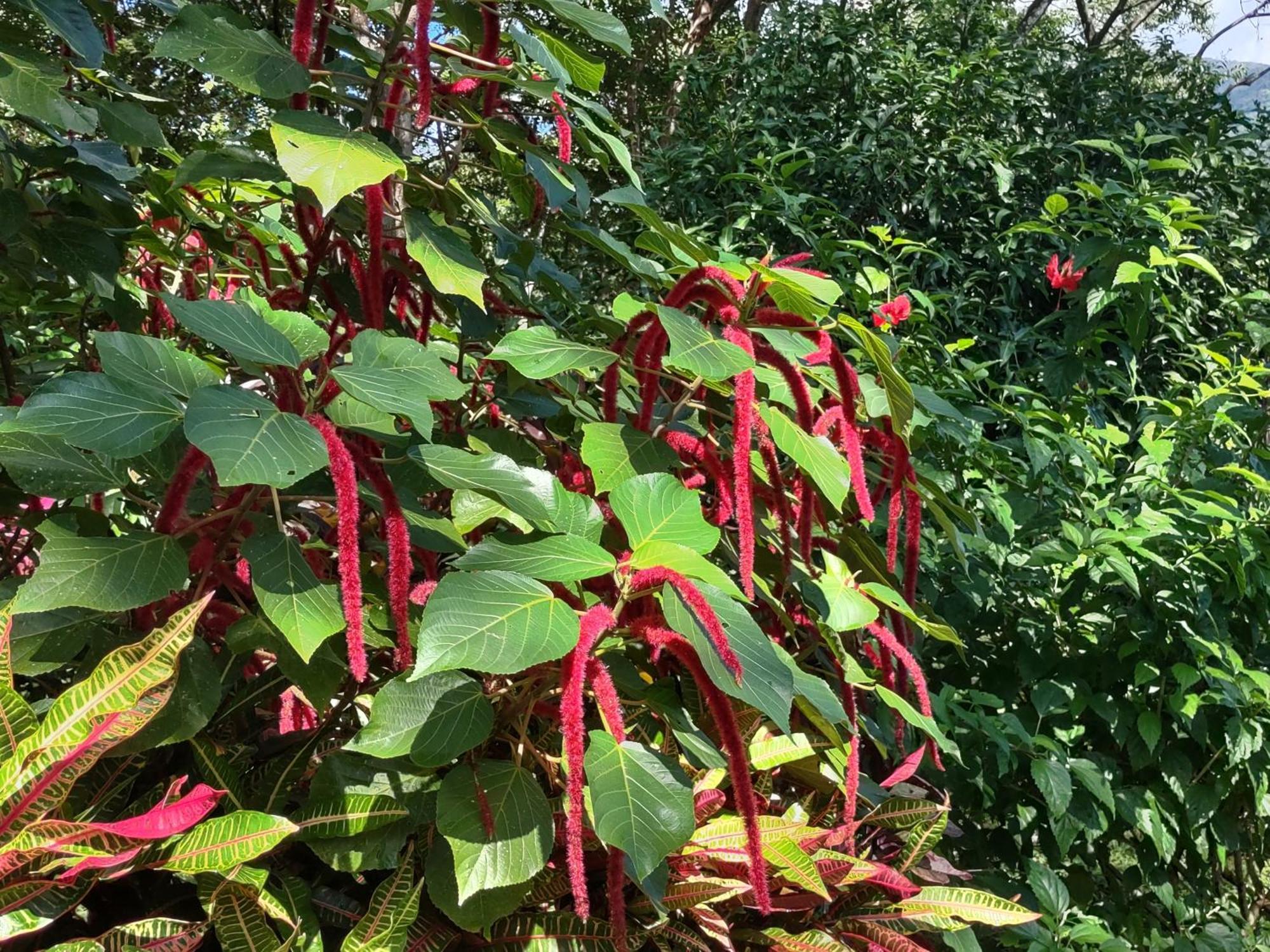 Finca Mystica Mérida 外观 照片