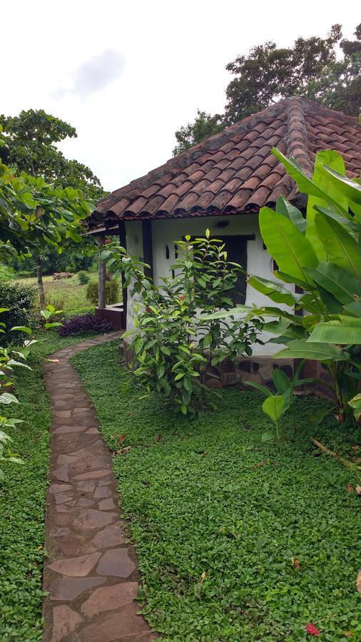 Finca Mystica Mérida 外观 照片