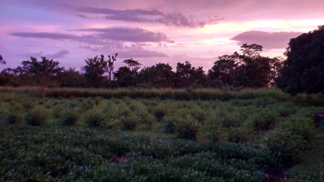 Finca Mystica Mérida 外观 照片